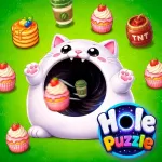 Play Hole Puzzle now!